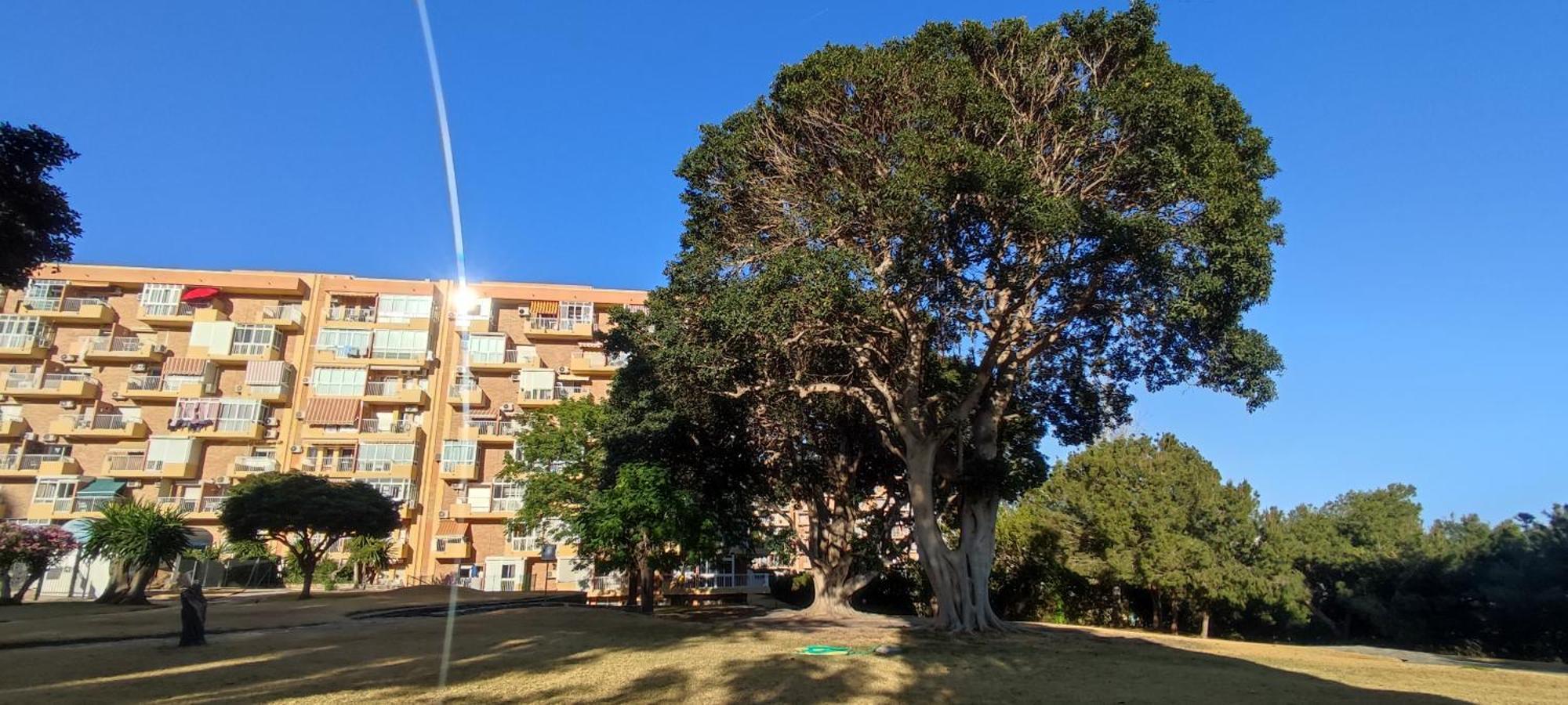 Apartamento Aguila, Arroyo De La Miel, Benalmádena Exterior photo